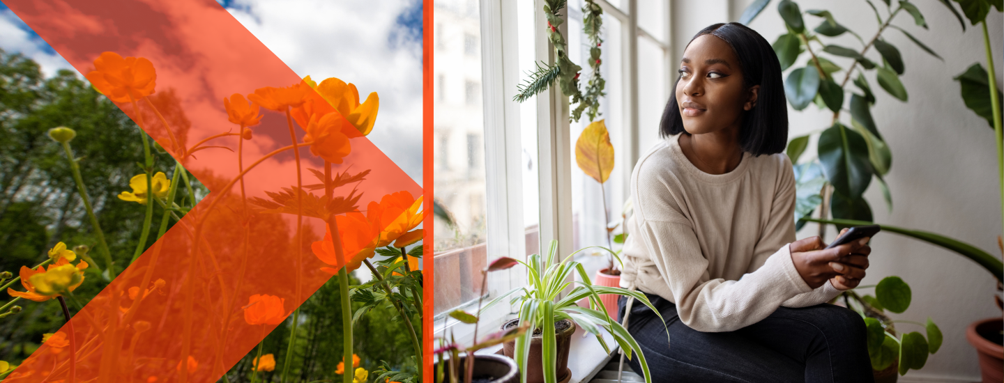 An image of wildflowers with an arrow over it next to an image of a woman looking calmly out of the window while holding her phone.