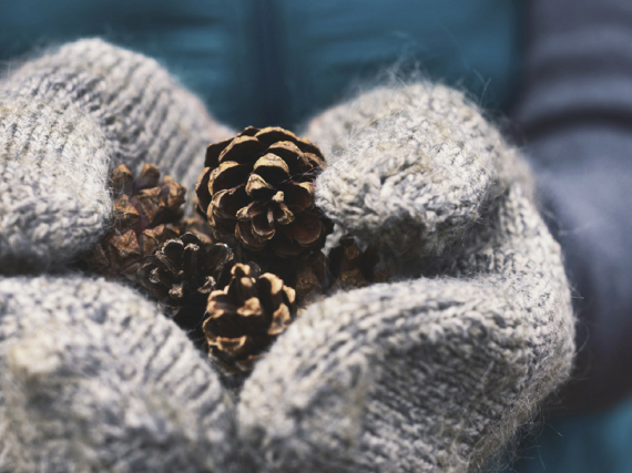 hands with mittens holding pinecones